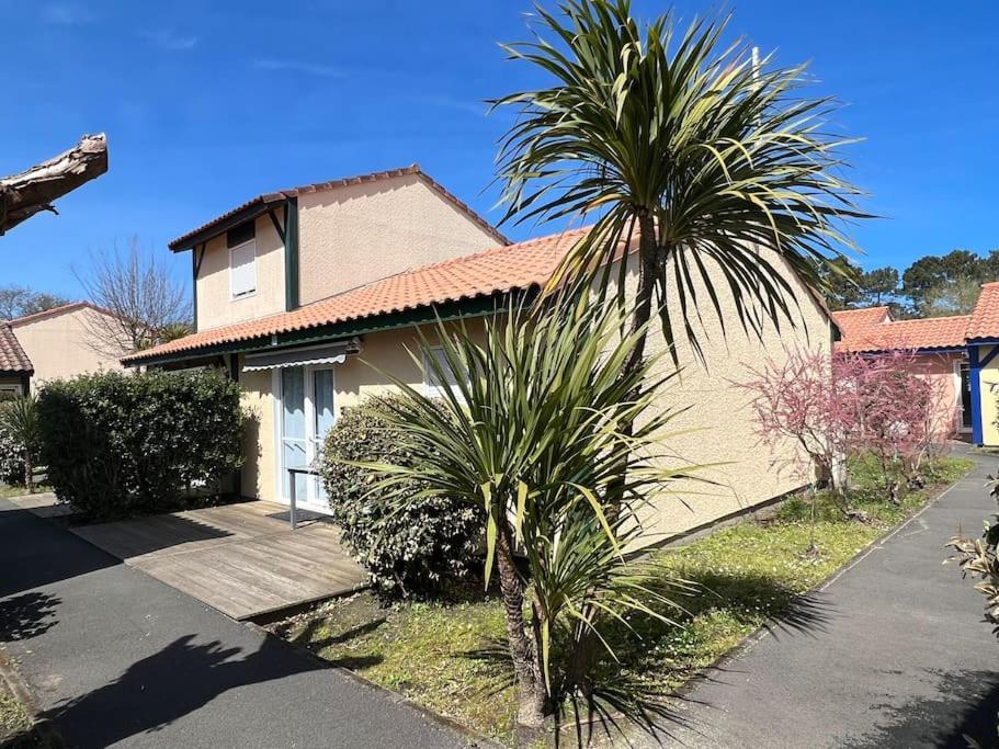 Villa Moana Soustons Plage / Vieux-Boucau Eksteriør billede